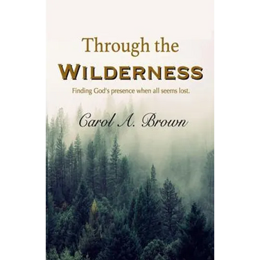 Through The Wilderness: Finding God's presence when all seems lost.