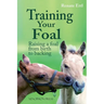 Training Your Foal: Raising a Foal from Birth to Backing by Renate Ettl