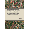 Nature's Wonderful Living Family in Earth, Air and Sea - A Collection of Articles on Wildlife from a Classic Children's Encyclopedia