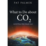 What to Do About Co2: And All Those Other Ghastly Gases