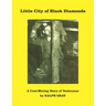 Little City of Black Diamonds: A Coal -Mining Story of Yesteryear