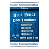 Miniature Australian Shepherd Training By Blue Fence Dog Training, Obedience - Behavior, Commands - Socialize, Hand Cues Too! Miniature Australian She