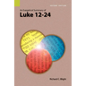 An Exegetical Summary of Luke 12-24, 2nd Edition