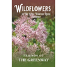 Wildflowers of The Little Tennessee River Greenway