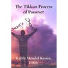 The Tikkun Process of Passover