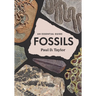 Fossils: An Essential Guide