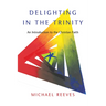 Delighting in the Trinity: An Introduction to the Christian Faith
