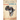 Identity, Citizenship, and Political Conflict in Africa