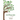 The Decision Tree of Aging