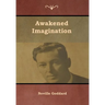 Awakened Imagination