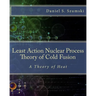 The Least Action Nuclear Process Theory of Cold Fusion: A Theory of Heat