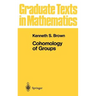 Cohomology of Groups