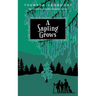 A Sapling Grows