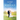 Golf and Marriage: Improve Your Marriage by Improving Your Golf