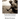 The Cherokee Physician Or Indian Guide to Health: As Given by Richard Foreman a Cherokee Doctor; Comprising a Brief View of Anatomy.: With General Rul