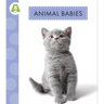 Animal Babies