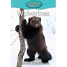 Wolverines