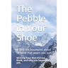 The Pebble in Your Shoe: Writing Your Non-fiction Book, and Why You Haven't - Yet.