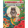 Hummingbird & Owls Coloring Book: A Cute Hummingbird & Owls Coloring Pages for Kids, Adults and birds Lovers.