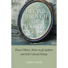Ireland Through the Looking-Glass: Flann O'Brien, Myles na gCopaleen and Irish Cultural Debate