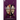 Quatermain: the Complete Adventures: 7-Allan and the Ice Gods, Four Short Adventures & Nada the Lily