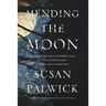 Mending the Moon