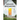 Housebreaking