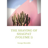 The Shaving of Shagpat (volume 1): a fantasy novel by George Meredith