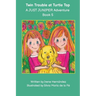 Twin Trouble at Turtle Top: A JUST JUNIPER Adventure
