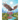 Clara Is an Eagle