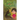 Jane and the Beanstalk