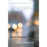 Slow Motion: A Memoir of a Life Rescued by Tragedy