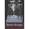 Brain Scraps