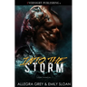 Into the Storm
