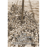 The Lancashire Fighting Territorials