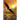 Vision Quest