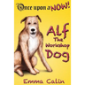 Alf The Workshop Dog
