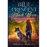 Blue Crescent Black Moon: Book 1 of The Sullivan Boys Trilogy