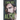 Alfie: Part 2
