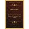 Manx Names: Or The Surnames And Place Names Of The Isle Of Man (1906)