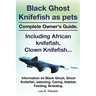 Black Ghost Knifefish as Pets, Incuding African Knifefish, Clown Knifefish... Complete Owner's Guide. Black Ghost, Ghost Knifefish, Selecting, Caring,