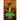 Dragons Luck