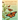 Monarchs and Milkweed: A Migrating Butterfly, a Poisonous Plant, and Their Remarkable Story of Coevolution
