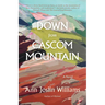 Down from Cascom Mountain