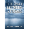 The Space Between Storms