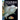 Dolphins and Porpoises