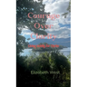 Courage Over Clarity Living boldly for Christ