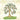 Little Tree Grows Healthy Roots: A story about the places we are planted