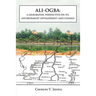 Ali-Ogba: A Geographic Perspective on Its Environment Development and Change