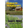 Beneath a Prairie Sky